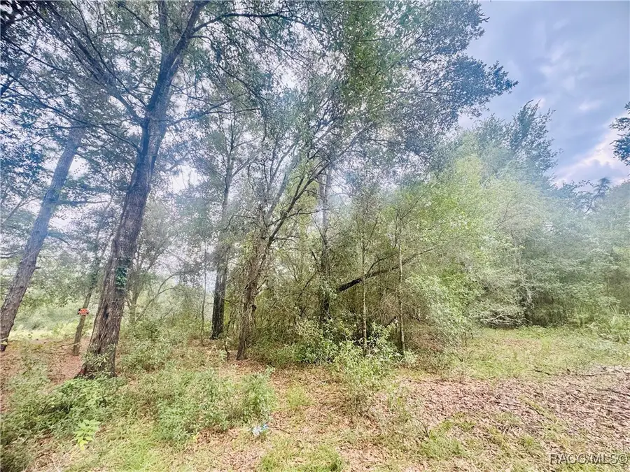 2203 Adams Street, Inverness, FL 34453 - Image #3