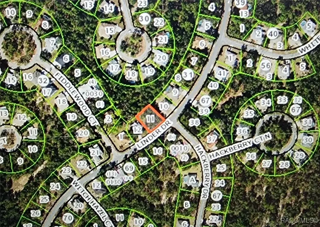 201 Linder Drive, Homosassa, FL 34446 - Image #1