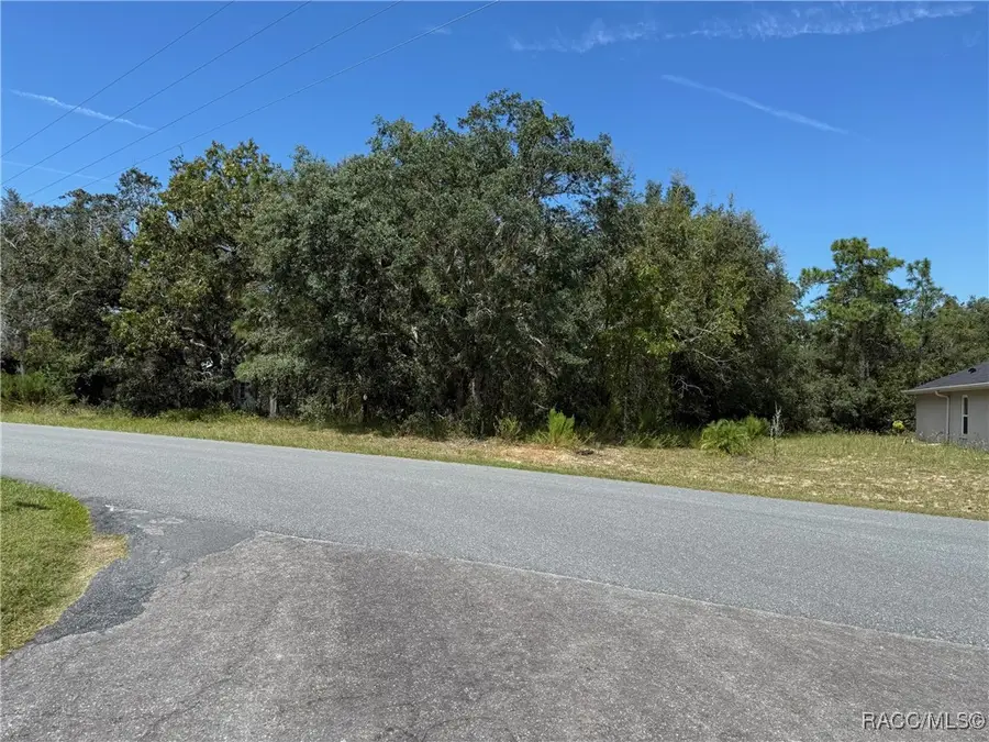 201 Linder Drive, Homosassa, FL 34446 - Image #2