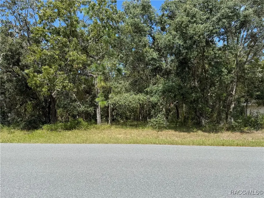 201 Linder Drive, Homosassa, FL 34446 - Image #3