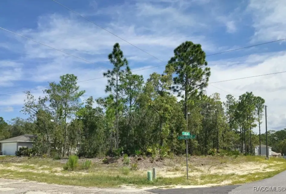 6665 N Darlington Drive, Dunnellon, FL 34434 - Image #1