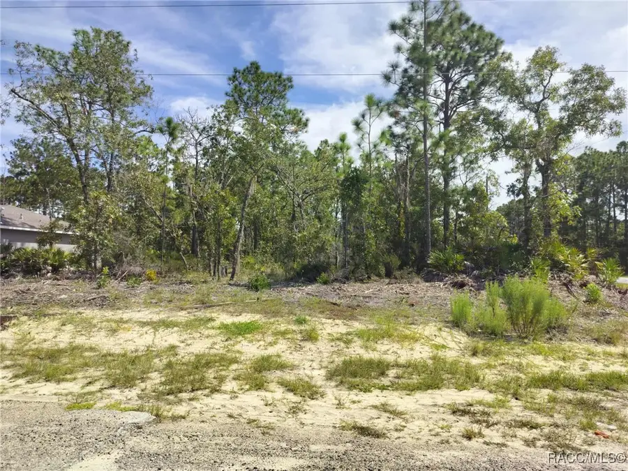 6665 N Darlington Drive, Dunnellon, FL 34434 - Image #3