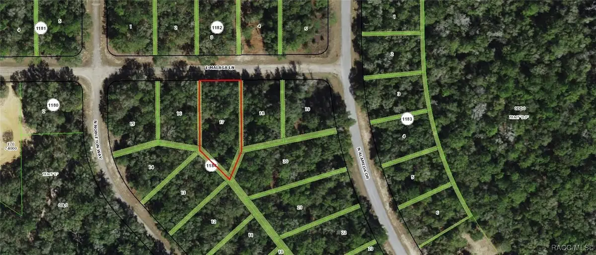 702 E Malaga Lane, Dunnellon, FL 34434 - Image #1