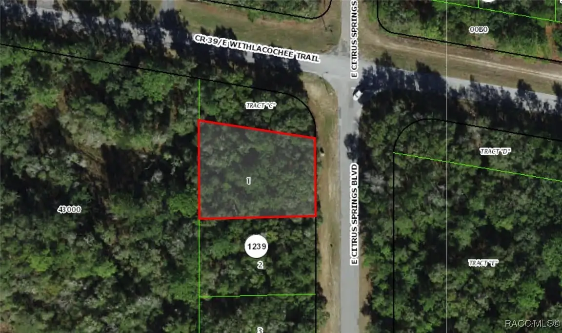 2177 E Citrus Springs Boulevard, Citrus Springs, FL 34434 - Image #1