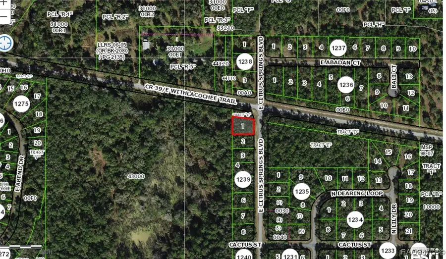 2177 E Citrus Springs Boulevard, Citrus Springs, FL 34434 - Image #2