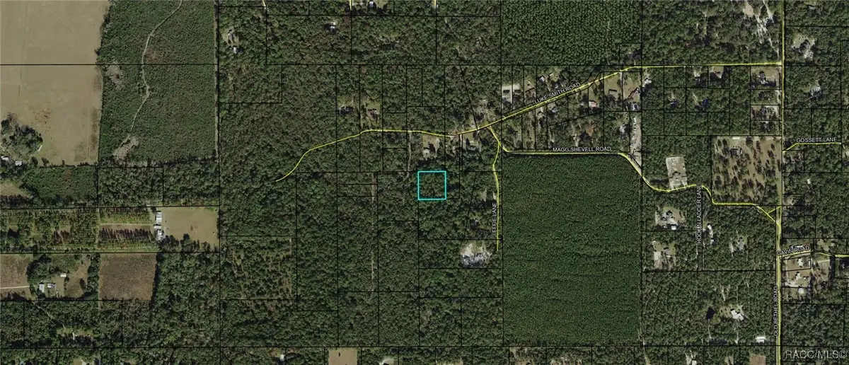 00 Luke Smith Road, Crawfordville, FL 32327 - Image #1
