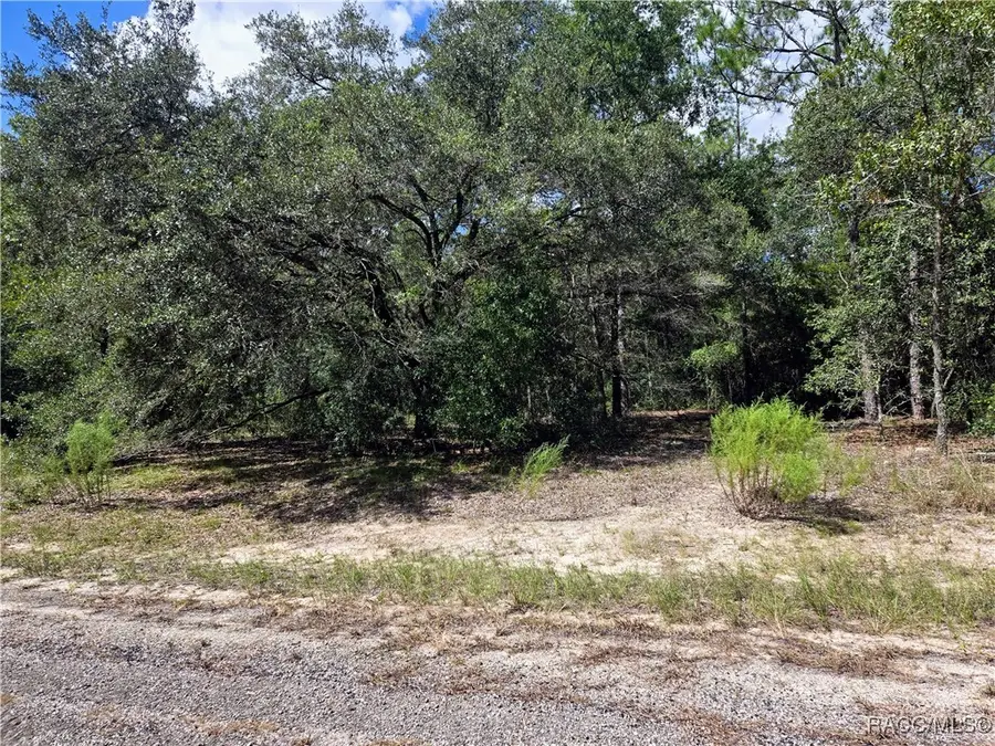 9002 N Nobleton Way, Dunnellon, FL 34434 - Image #2