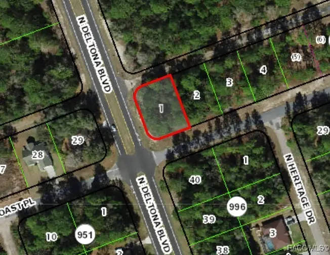 375 W Goldcoast Place, Citrus Springs, FL 34434 - Image #1