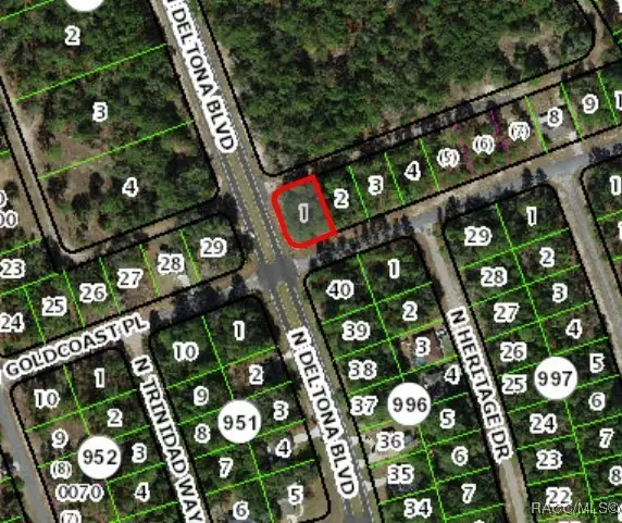 375 W Goldcoast Place, Citrus Springs, FL 34434 - Image #2