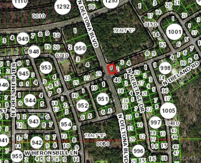 375 W Goldcoast Place, Citrus Springs, FL 34434 - Image #3