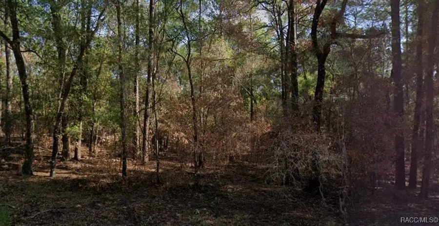 857 E Toledo Drive, Citrus Springs, FL 34434 - Image #2