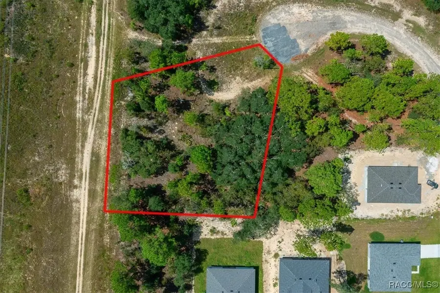 2779 W Tracy Court, Dunnellon, FL 34433 - Image #3