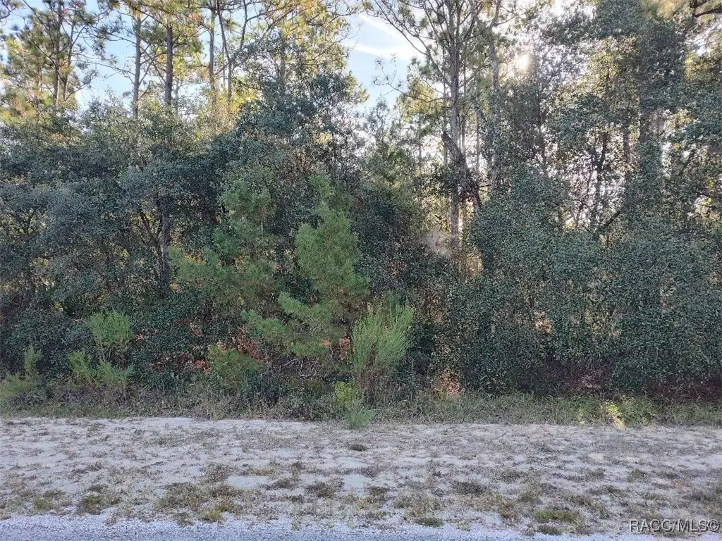 5417 N Crossgate Point, Beverly Hills, FL 34465 - Image #1