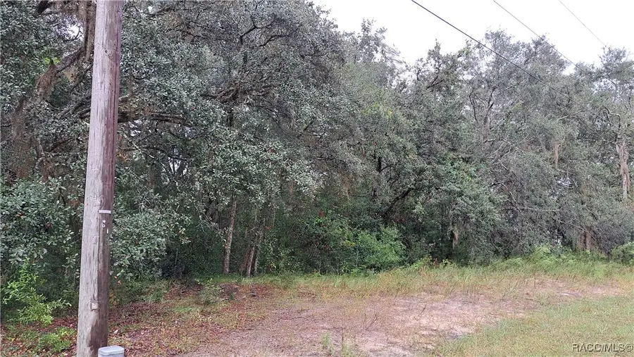 289 N Highview Avenue, Hernando, FL 34442 - Image #3