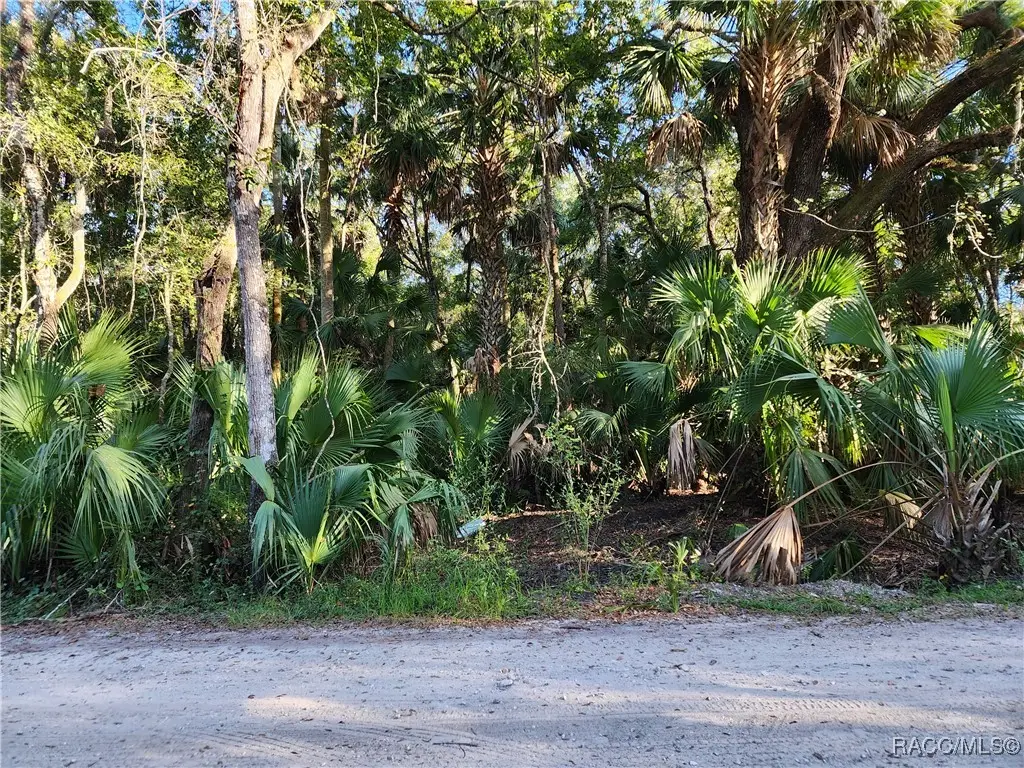 13334 E Shawnee Trail, Inverness, FL 34450 - Image #1