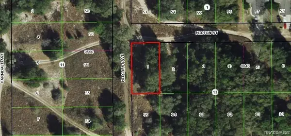 2109 Milton Street, Inverness, FL 34453