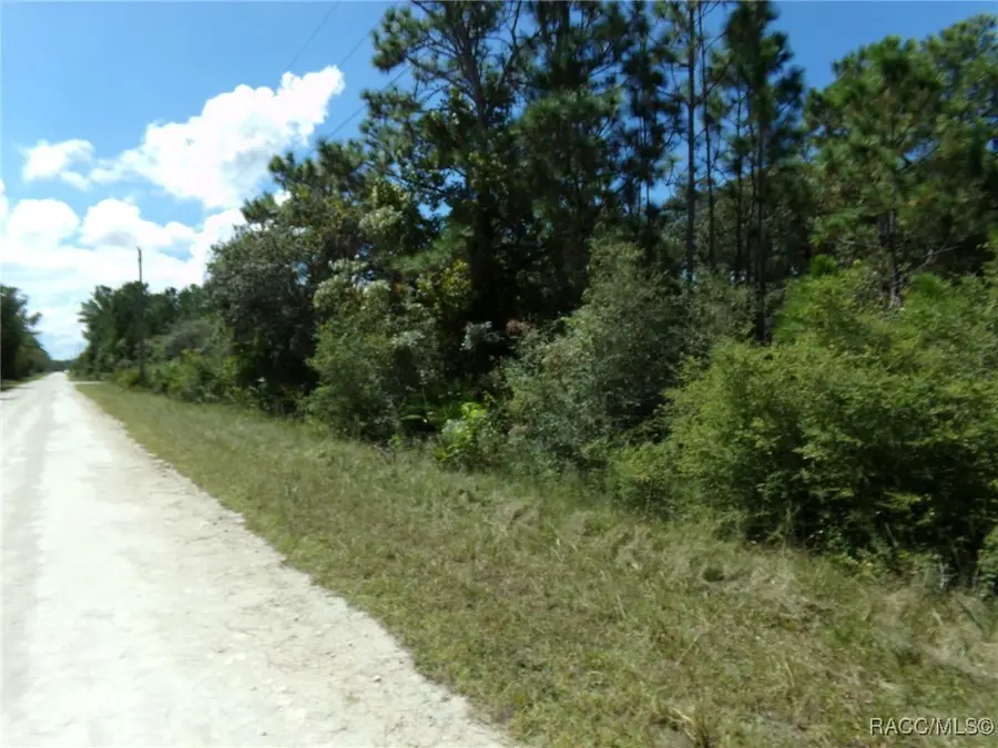 18303 Ramsey Road, Weeki Wachee, FL 34614 - Image #3