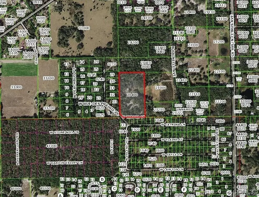 8521 W Rue Des Prairies Place, Crystal River, FL 34428 - Image #3