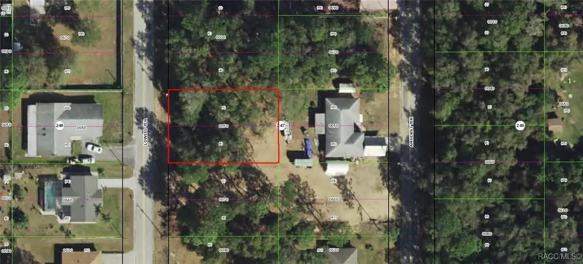 1032 Lowell Terrace, Inverness, FL 34452 - Image #1