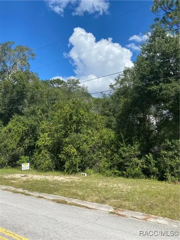 1032 Lowell Terrace, Inverness, FL 34452 - Image #2