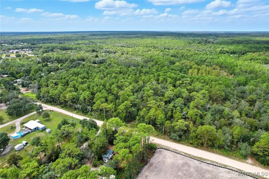 10056 S New Hampshire Drive, Homosassa, FL 34446 - Image #3