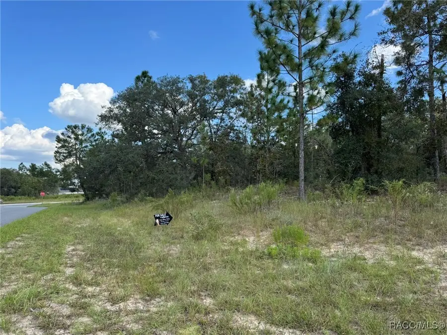 6717 N Libby Terrace, Citrus Springs, FL 34433 - Image #2