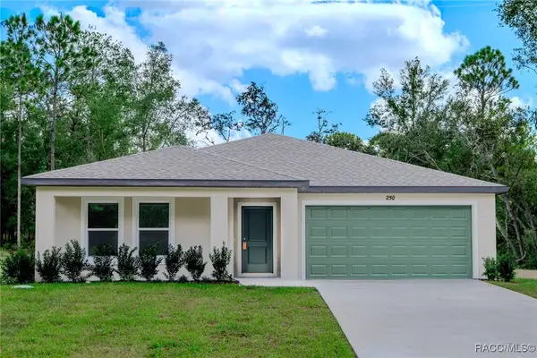 250 W Ruska Place, Citrus Springs, FL 34433