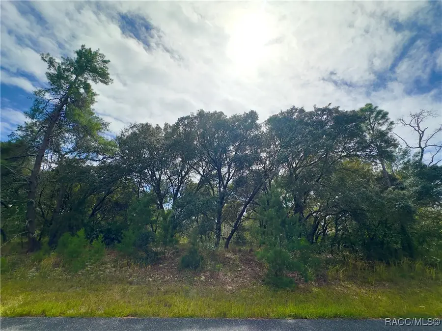 1888 W Mcneal Drive, Citrus Springs, FL 34434 - Image #3