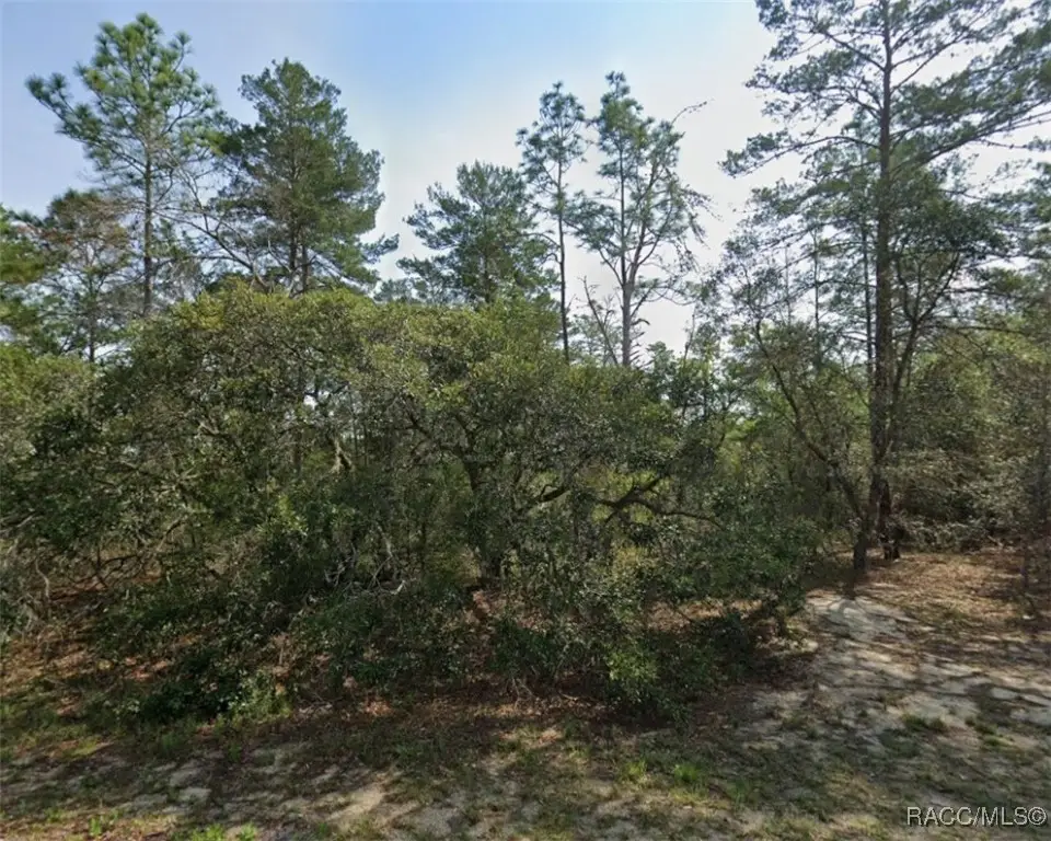 9219 N Akola Way, Citrus Springs, FL 34434 - Image #1