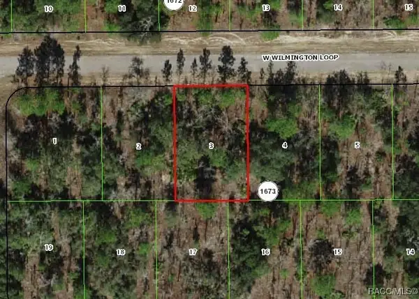 2172 W Wilmington Loop, Citrus Springs, FL 34434