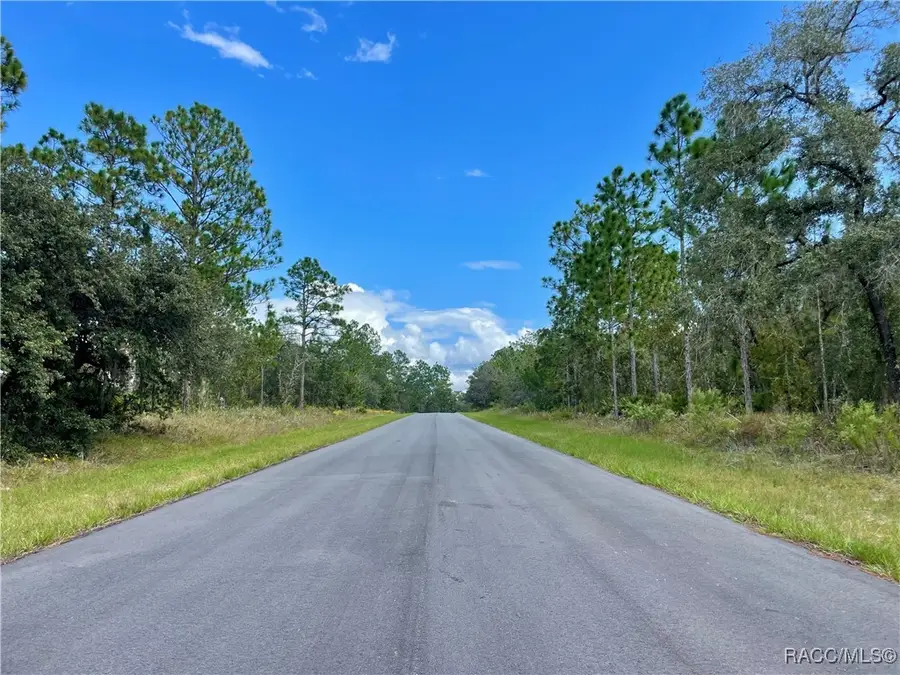 2172 W Wilmington Loop, Citrus Springs, FL 34434 - Image #3