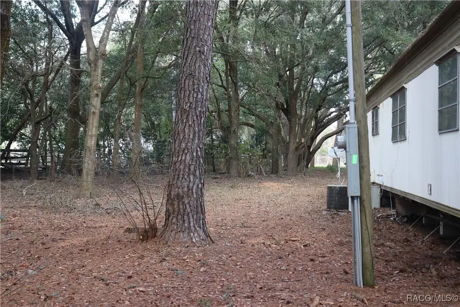 19591 SE 77th Place, Morriston, FL 32668 - Image #3