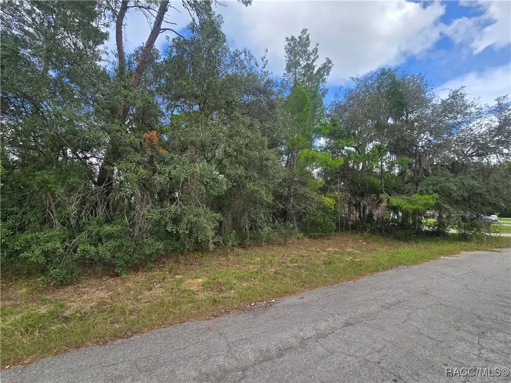 3006 Clearwood Street, Inverness, FL 34452 - Image #1