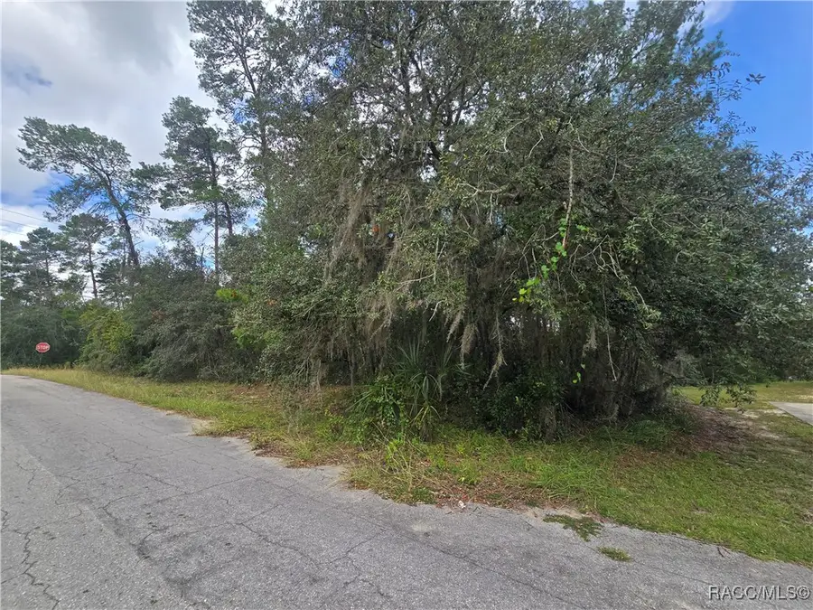3006 Clearwood Street, Inverness, FL 34452 - Image #2