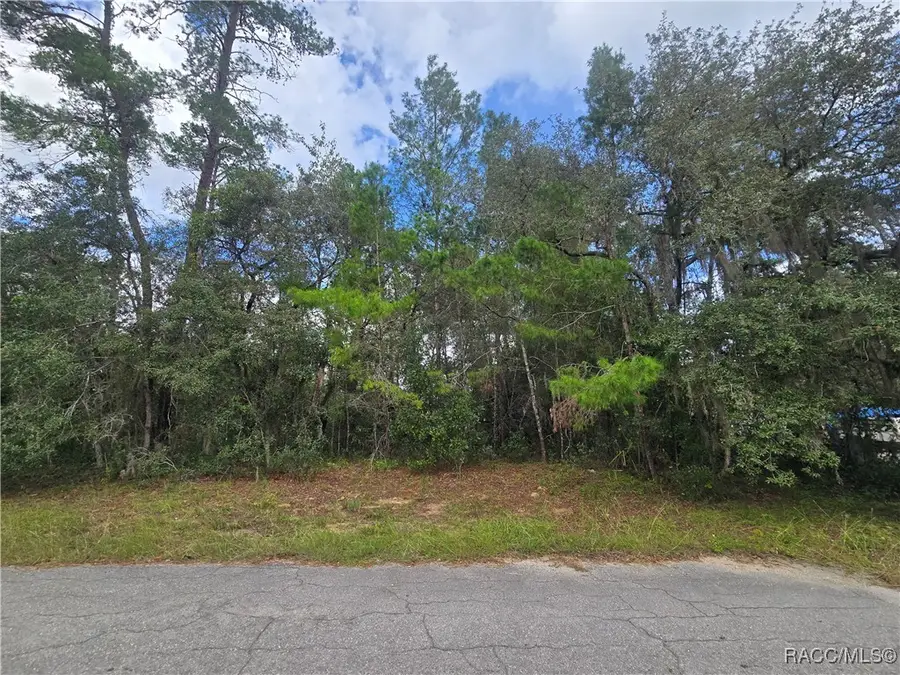3006 Clearwood Street, Inverness, FL 34452 - Image #3