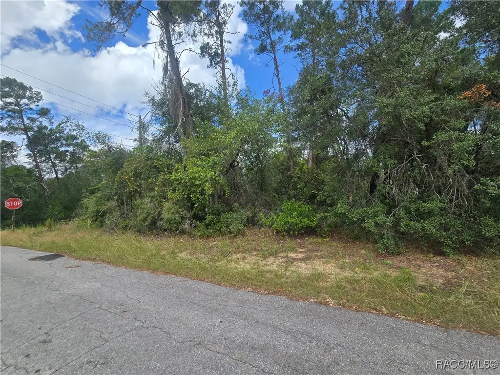 3008 Clearwood Street, Inverness, FL 34452 - Image #1