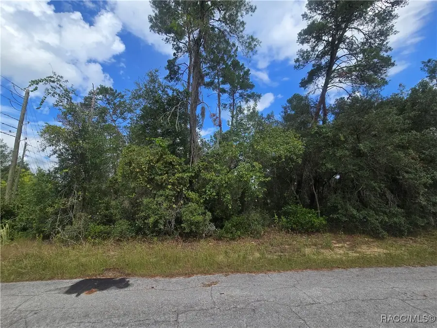 3008 Clearwood Street, Inverness, FL 34452 - Image #2