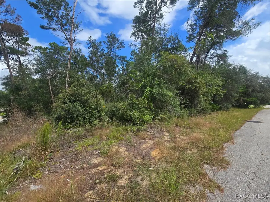 3008 Clearwood Street, Inverness, FL 34452 - Image #3