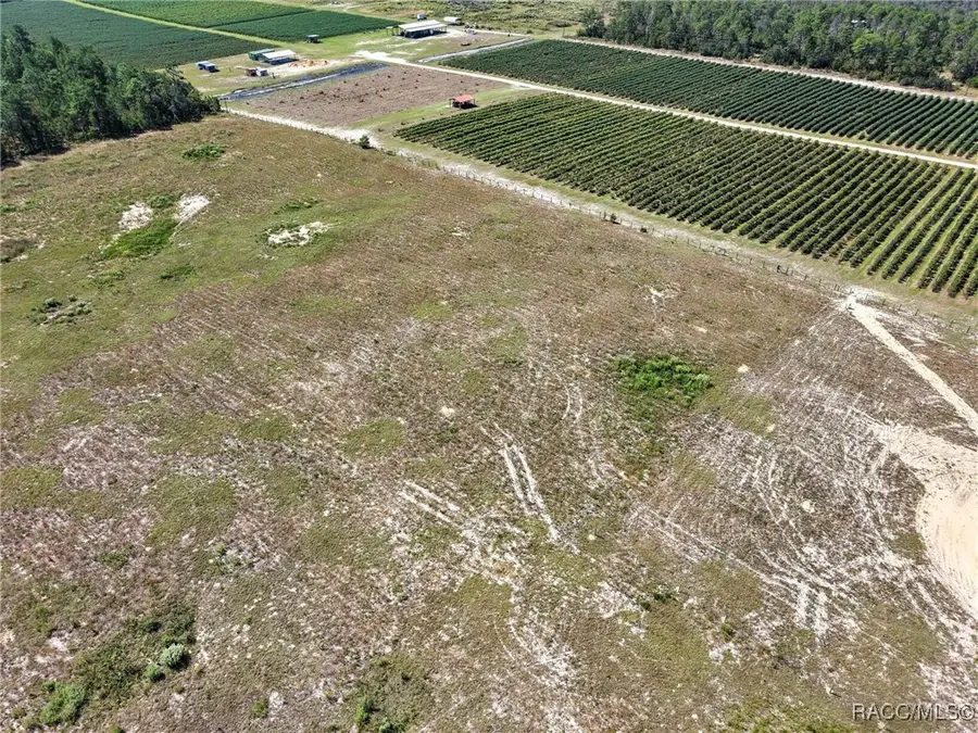 4499 W Choate Court, Dunnellon, FL 34433 - Image #2