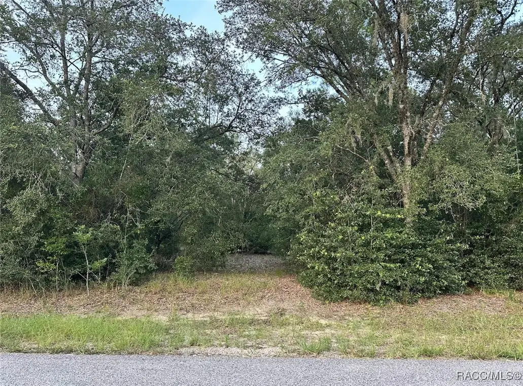 11803 N Providence Way, Citrus Springs, FL 34433 - Image #1