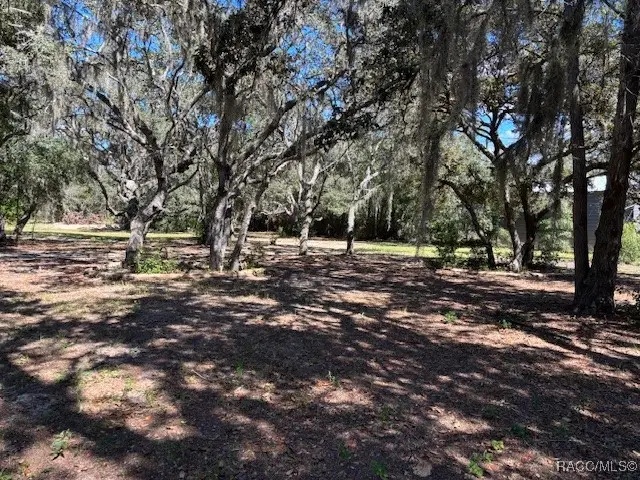 819 E Wacker Street, Hernando, FL 34442 - Image #2