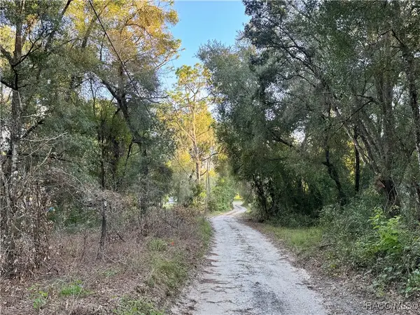 8703 S Greenhouse Terrace, Floral City, FL 34436