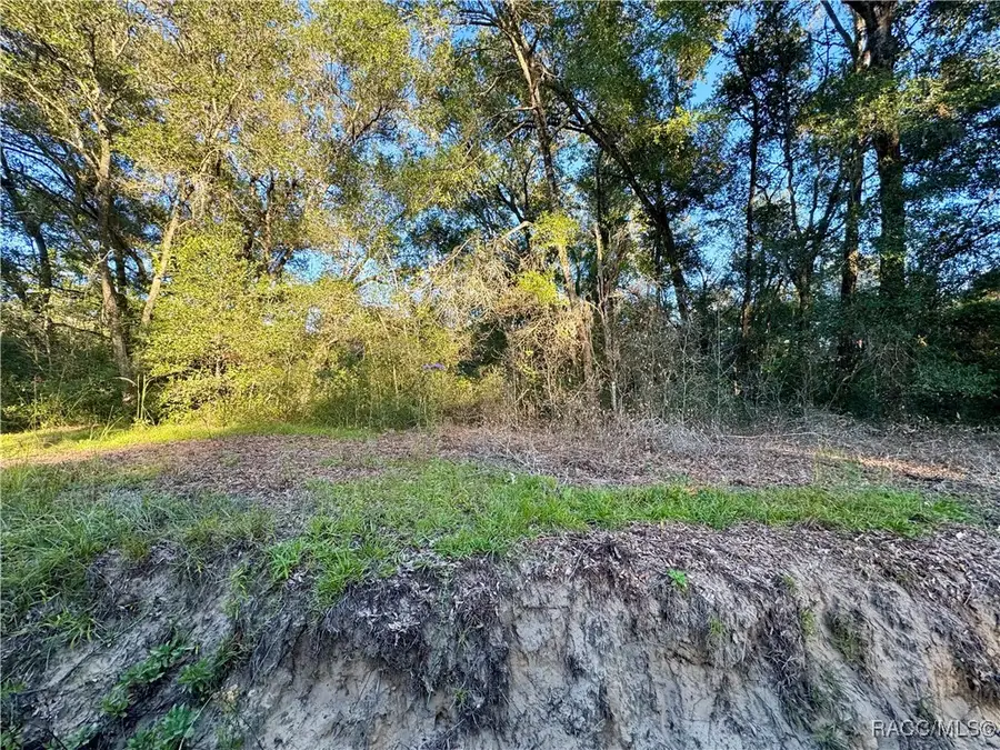 8703 S Greenhouse Terrace, Floral City, FL 34436 - Image #2