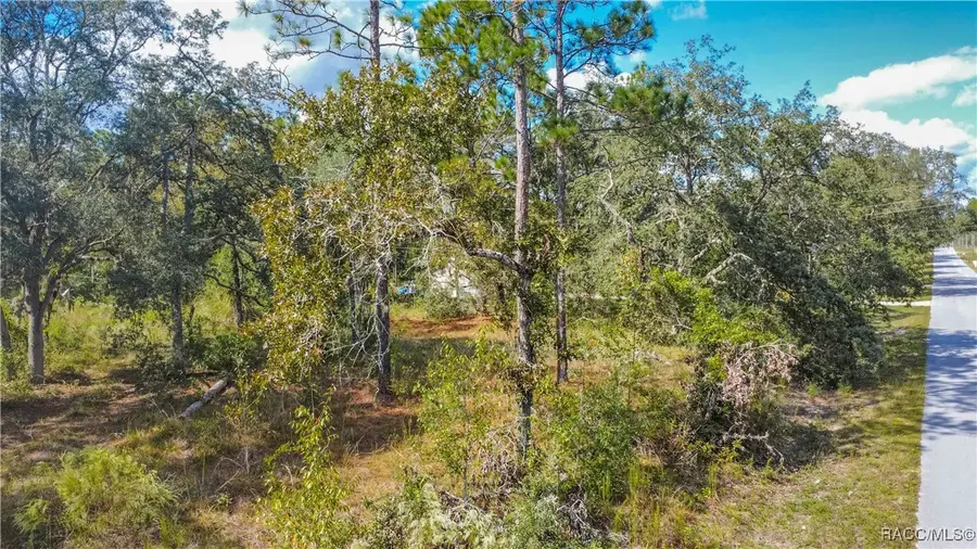 4882 SW 183rd Terrace, Dunnellon, FL 34432 - Image #3