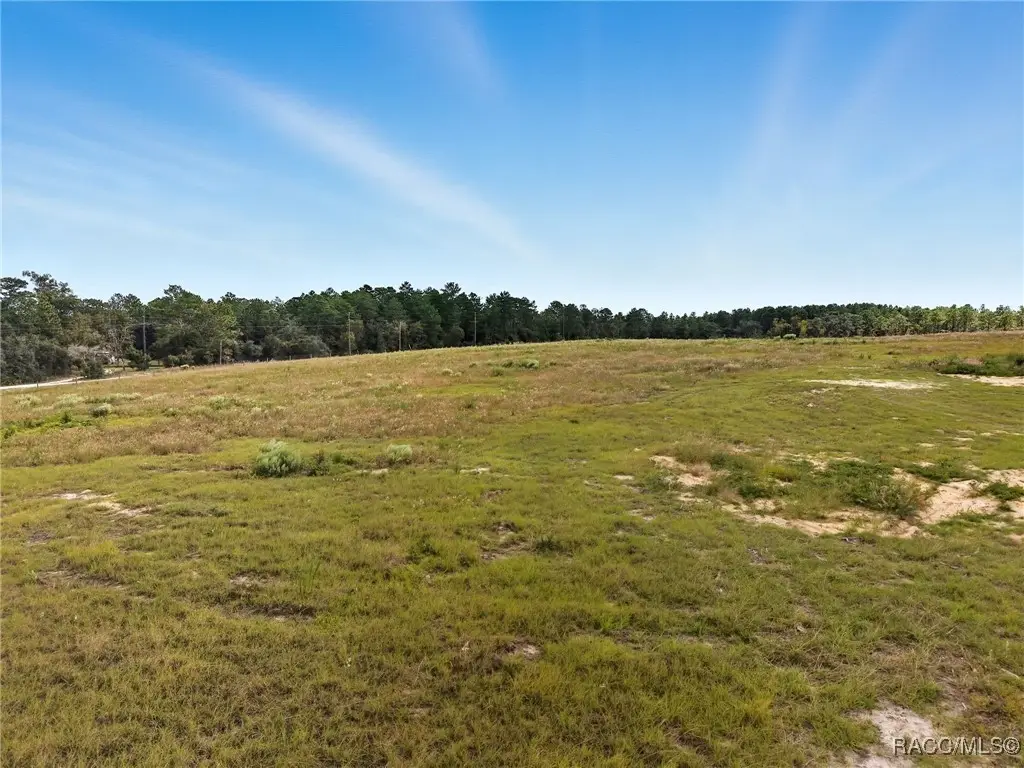 9443 N Zella Point, Dunnellon, FL 34433 - Image #1