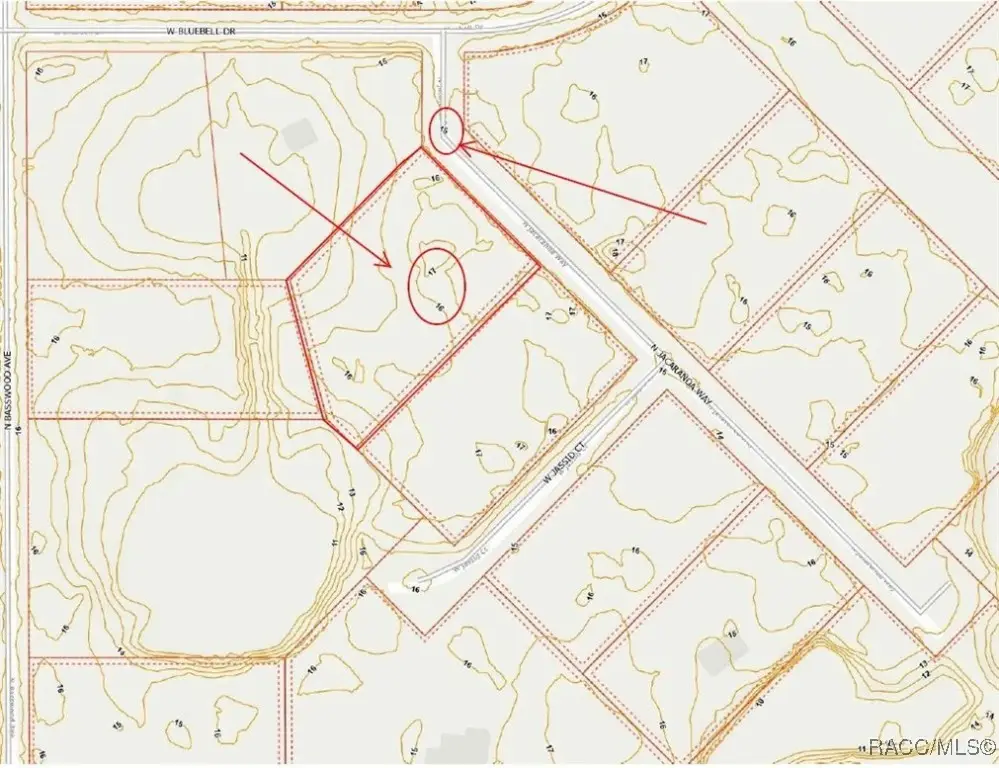 8124 N Jacaranda Way, Crystal River, FL 34428 - #1