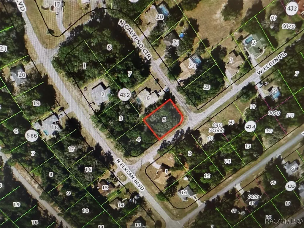 2917 W Elgin Place, Citrus Springs, FL 34434 - Image #1