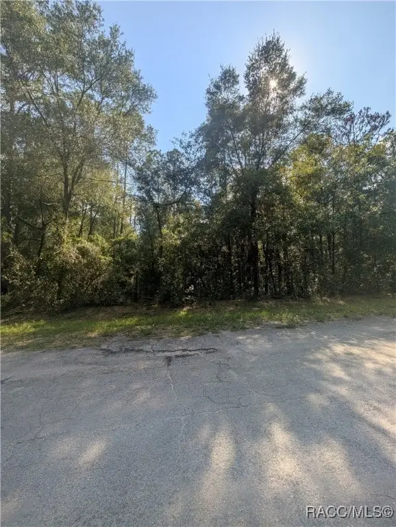 10484 N Holcomb Drive, Citrus Springs, FL 34434 - #2