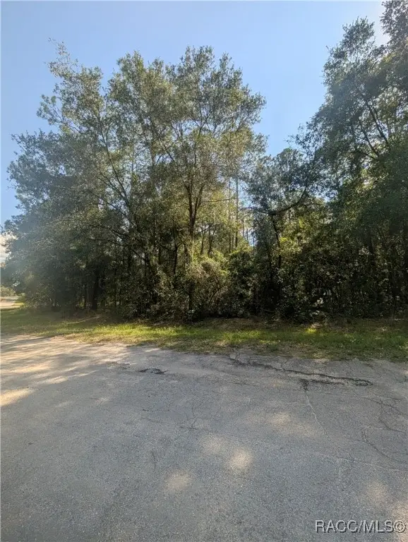 10484 N Holcomb Drive, Citrus Springs, FL 34434 - #3