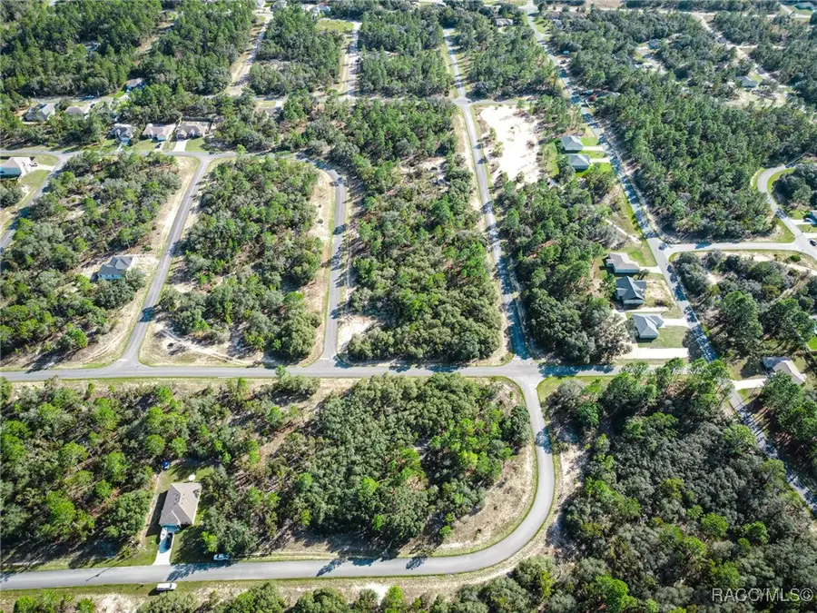 3024 W Redgate Drive, Citrus Springs, FL 34433 - Image #2